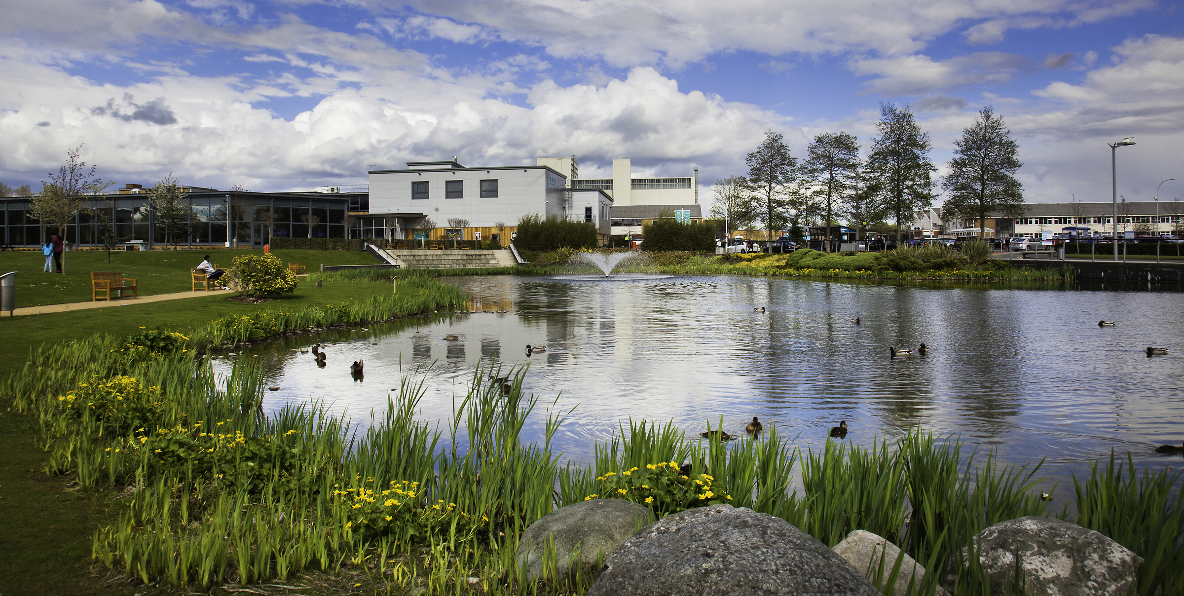 ubc_birchwood_36.jpg