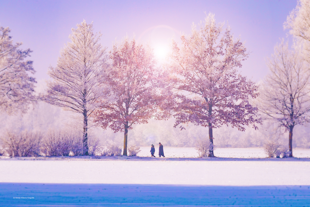 january-blues-pexels-photo.jpeg