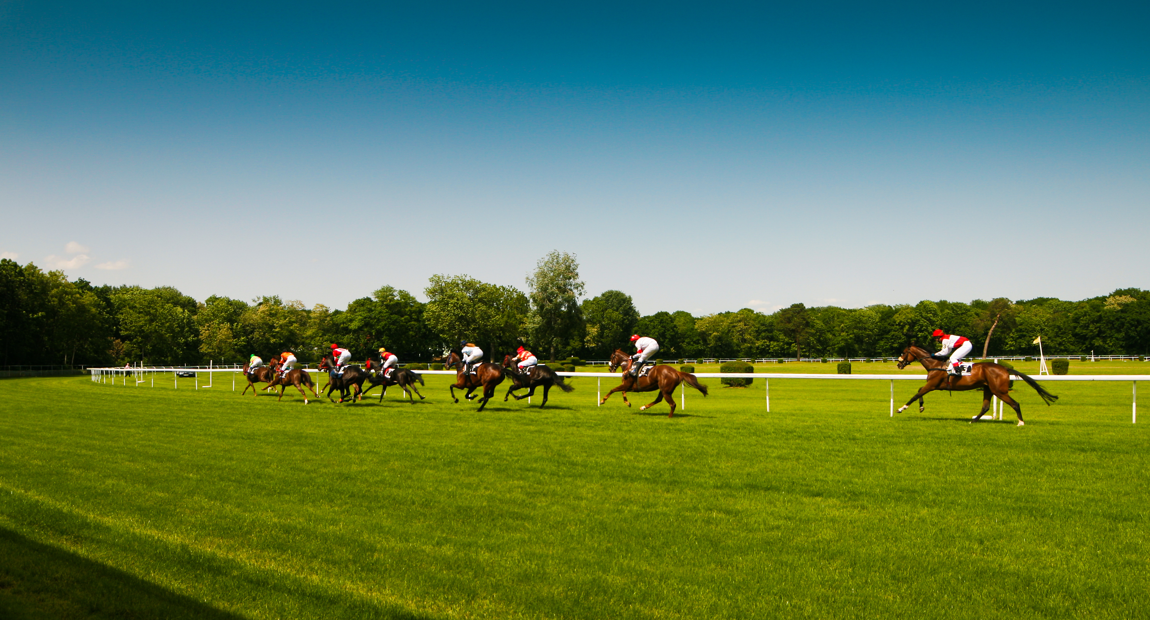 horse-racing-oval-track-picjumbo-com.jpg