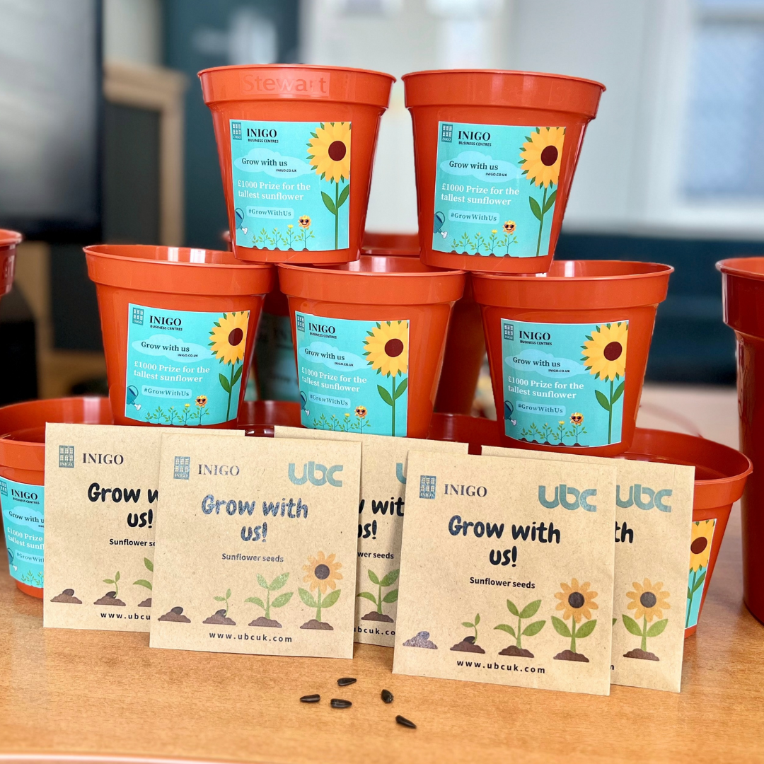 growithus-pots.png