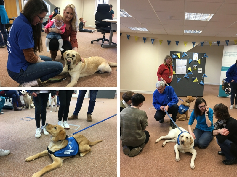 ubc-cirencester-guide-dogs-day.jpg