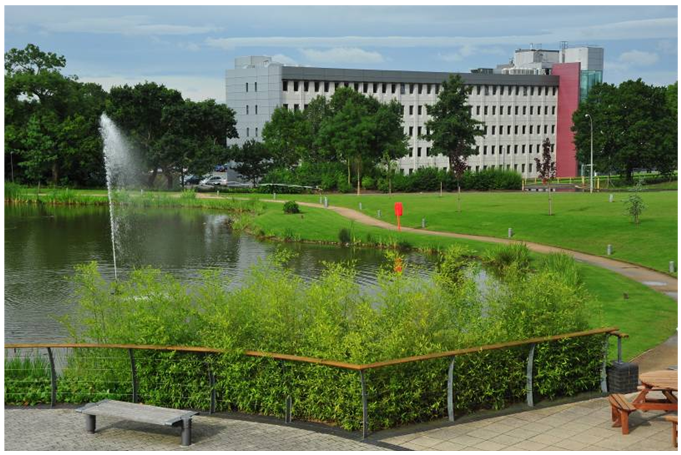 rutheford_exterior04.png